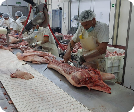 trabajador en la fabrica cargando cortes